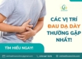 Các vị trí đau dạ dày thường gặp và các bệnh lý liên quan
