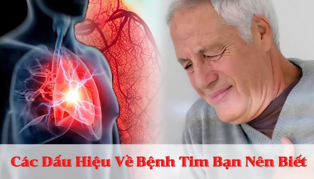 Bệnh Tim Là Gì?
