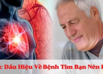 Bệnh Tim Là Gì?