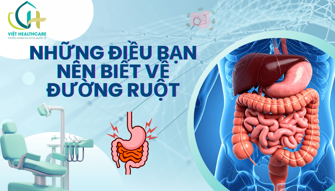 Những Điều Bạn Nên Biết Về Đường Ruột