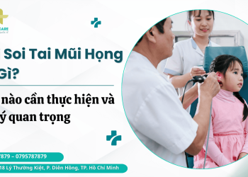 noi soi tai mui hong