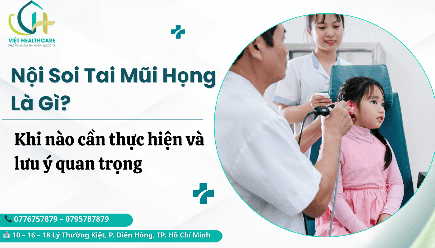 noi soi tai mui hong